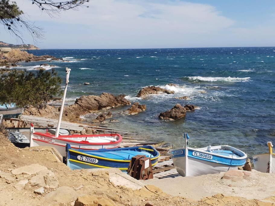 Les Geraniums, Bel Appartement Renove, Proche Plage Et Commerces La Seyne-sur-Mer Dış mekan fotoğraf