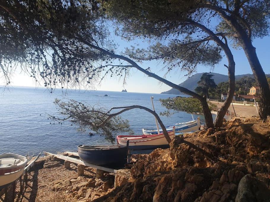 Les Geraniums, Bel Appartement Renove, Proche Plage Et Commerces La Seyne-sur-Mer Dış mekan fotoğraf